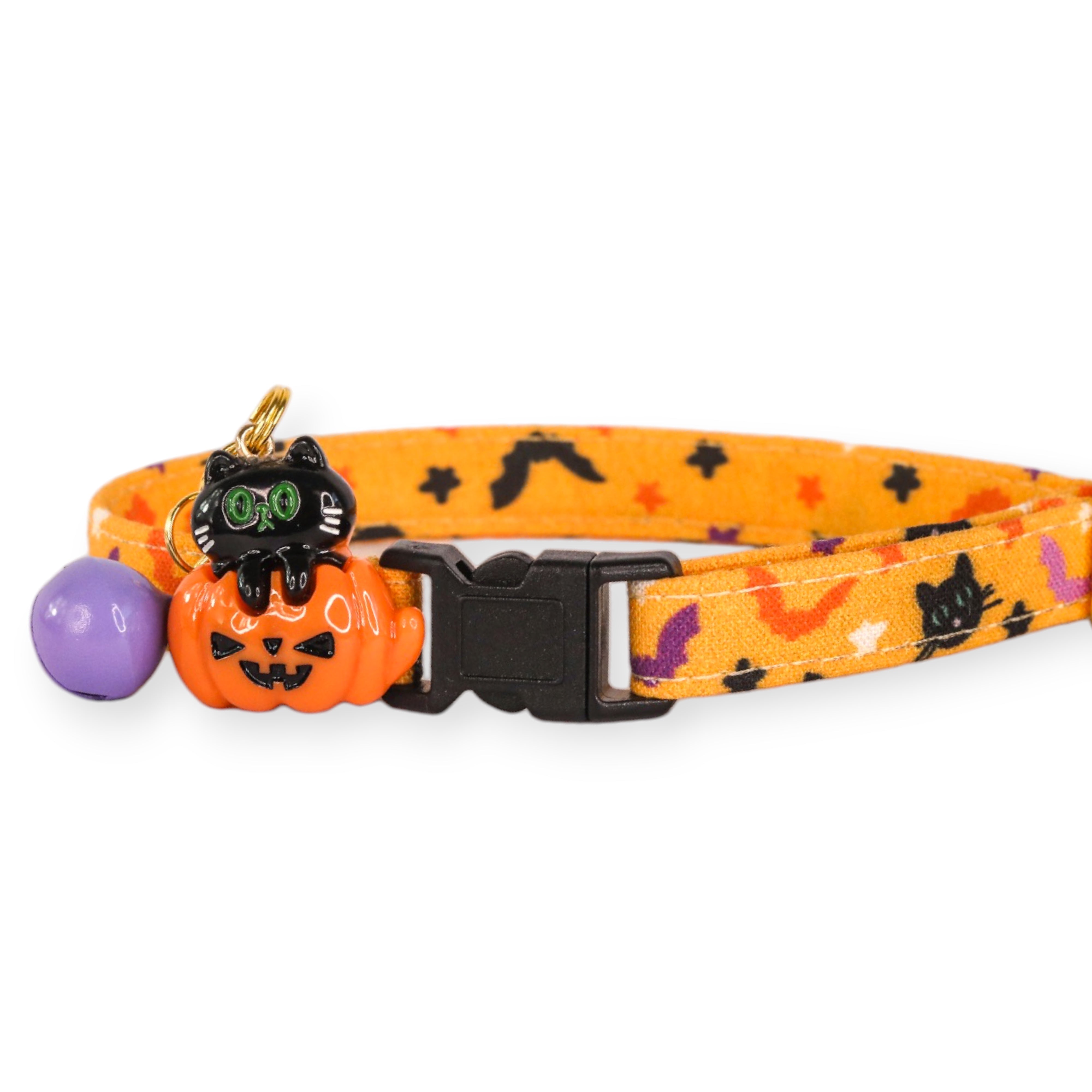 Fall cat collars outlet