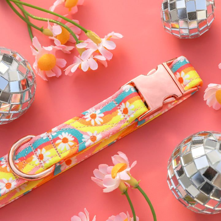 Daisy Me Rollin' - Groovy Retro Rainbow Daisy Dog Collar