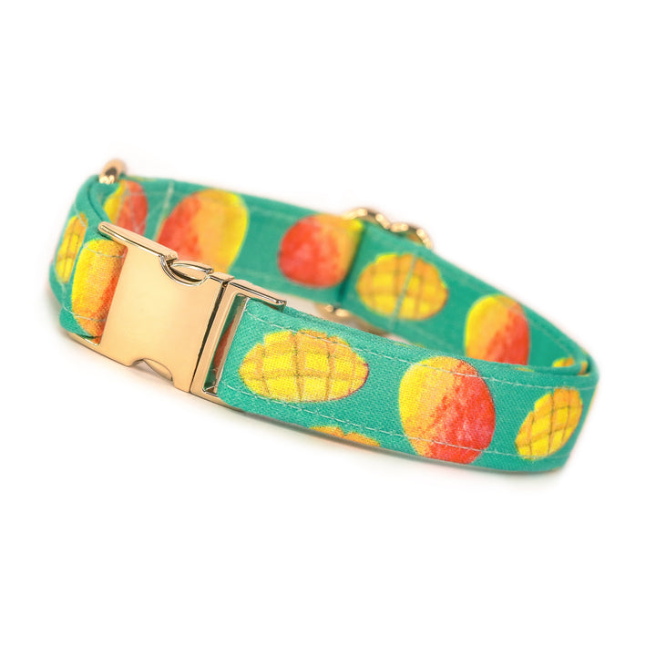 Takes Two To Mango - Mango Dog Collar
