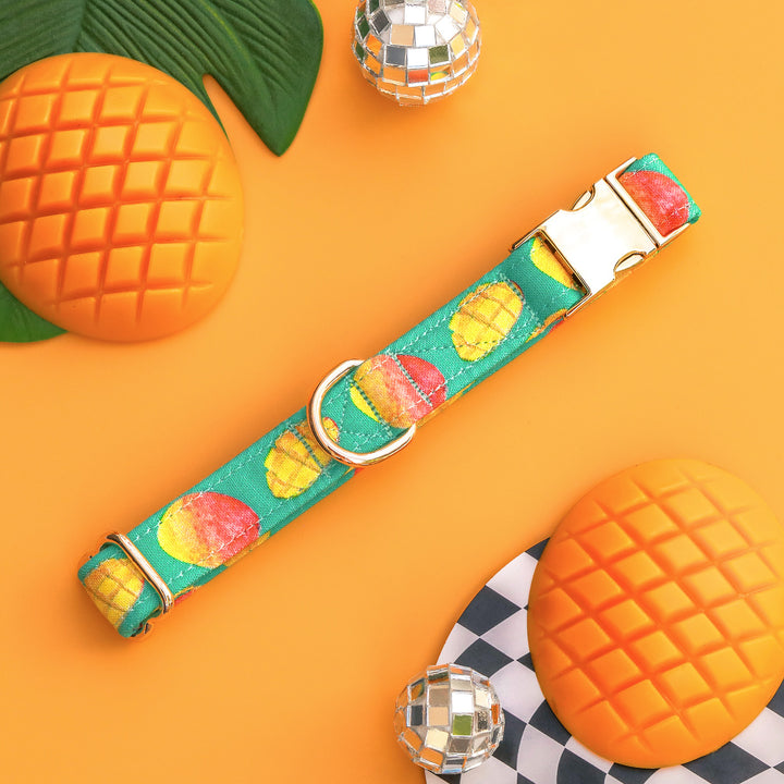 Takes Two To Mango - Mango Dog Collar