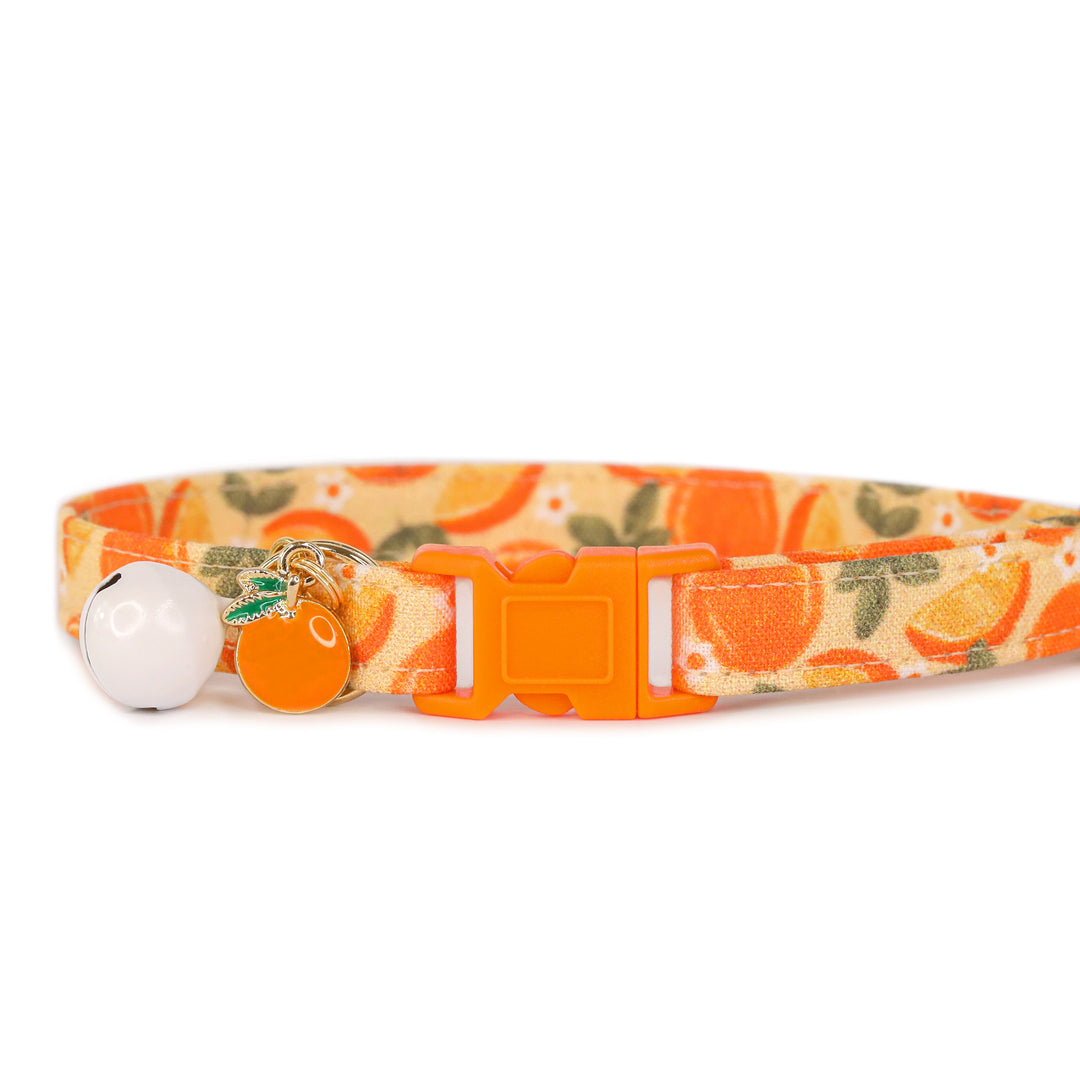 Keep Your Eyes Peeled - Orange Slice Cat Collar