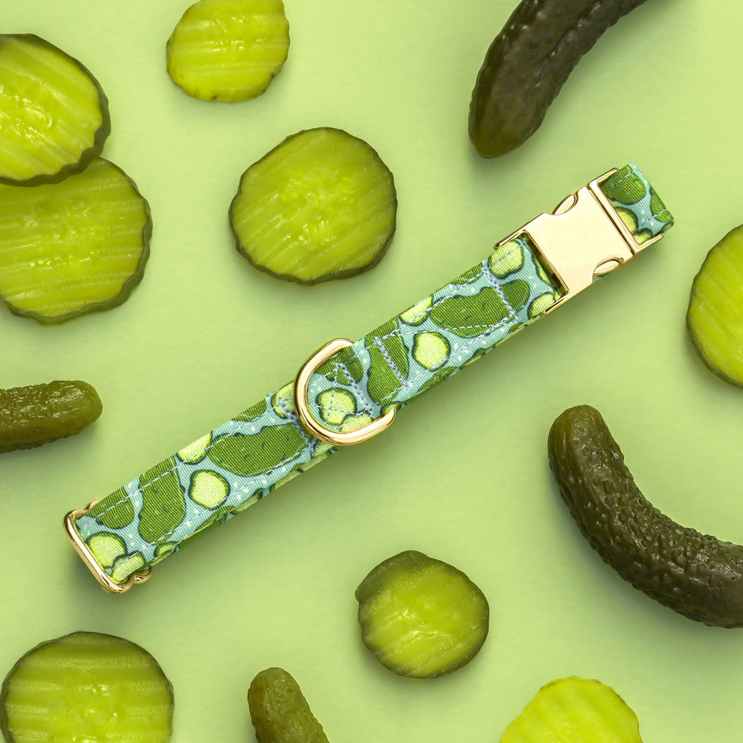 Kind of a Big Dill - Pickles Dog Collar