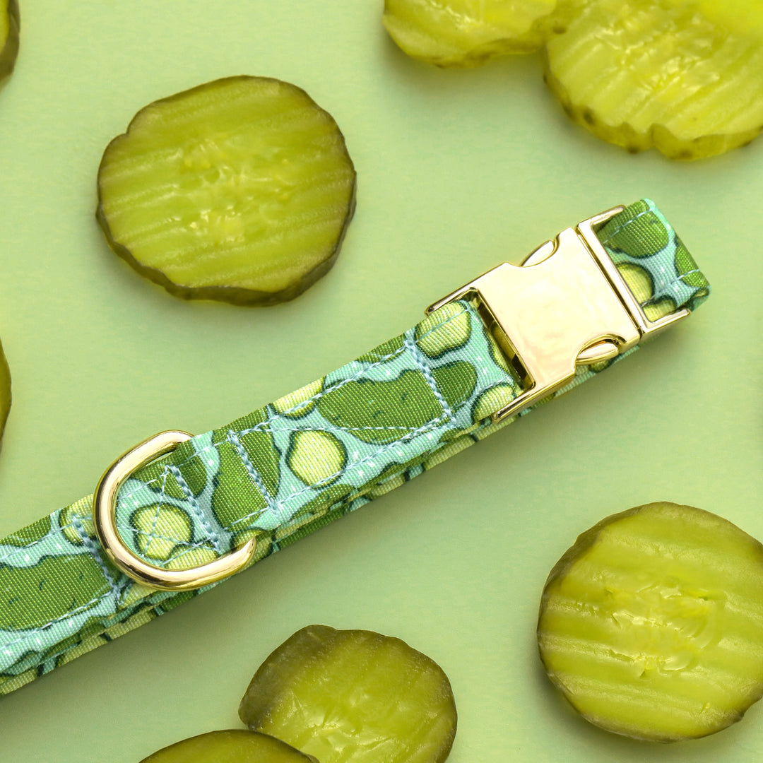 Kind of a Big Dill - Pickles Dog Collar