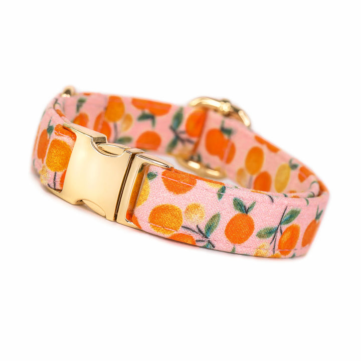 Clementine Cutie - Pink Clementine Dog Collar
