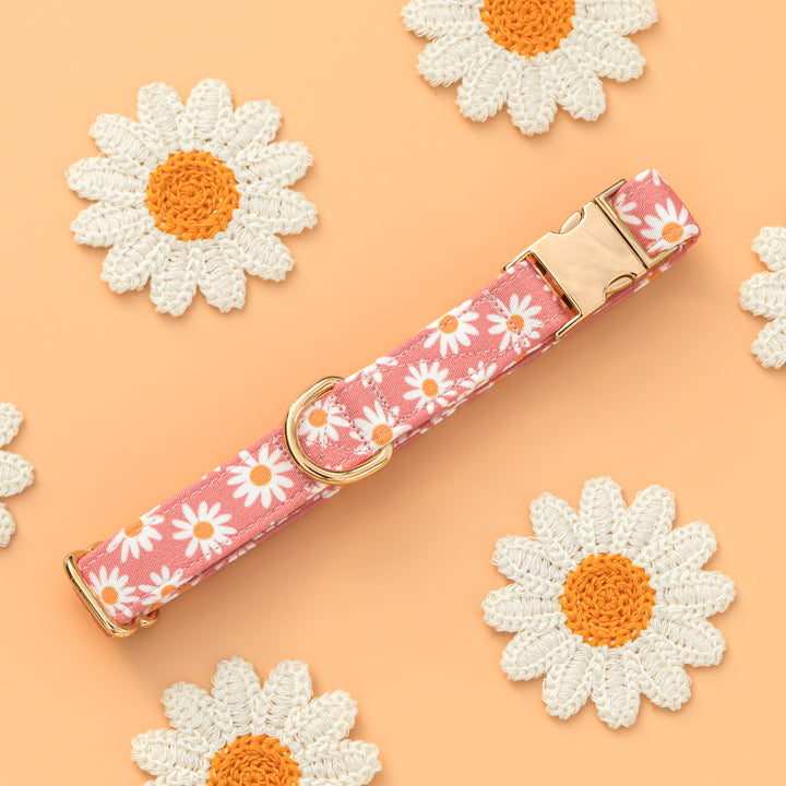Oopsie Daisy - Pink Daisy Dog Collar
