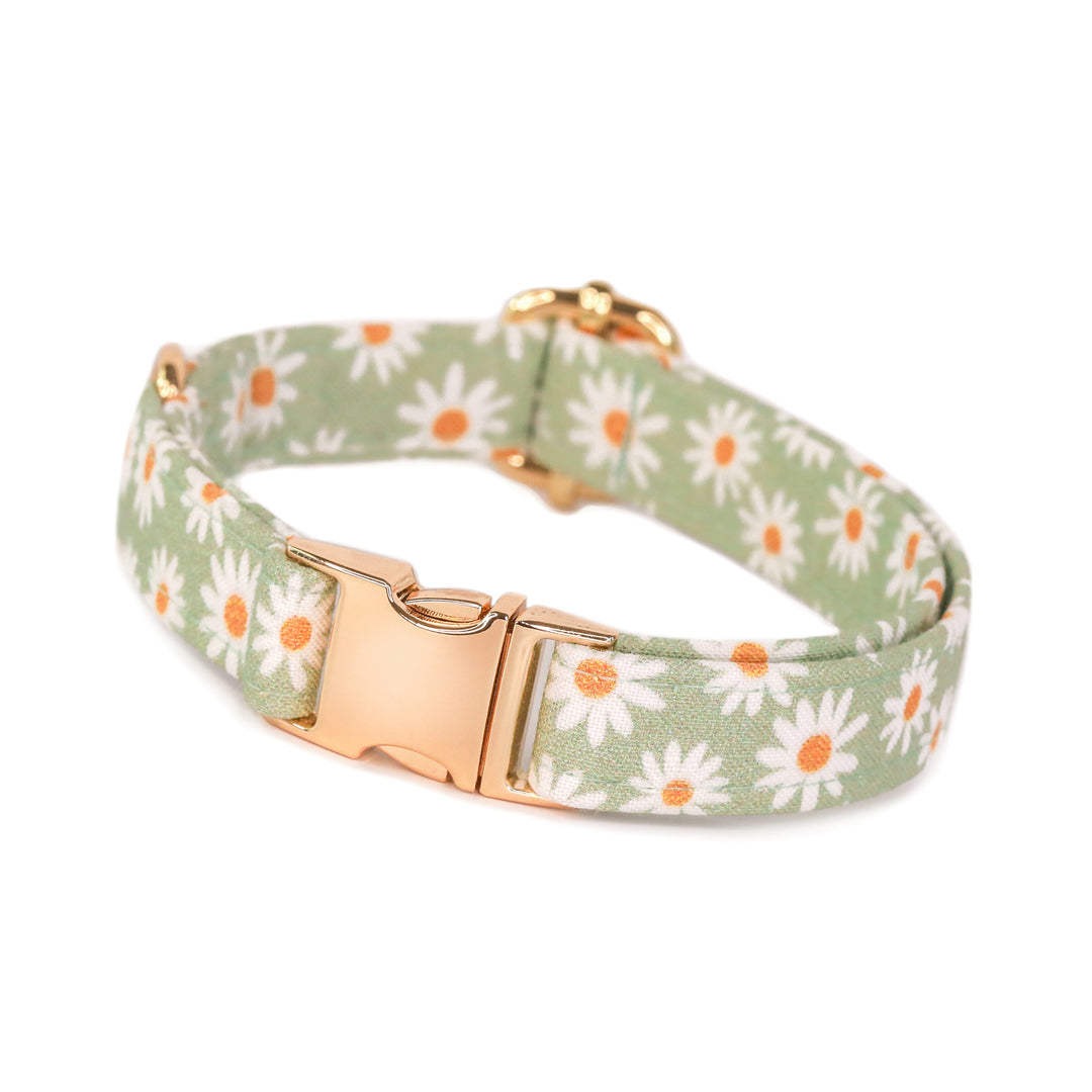Oopsie Daisy - Sage Daisy Dog Collar