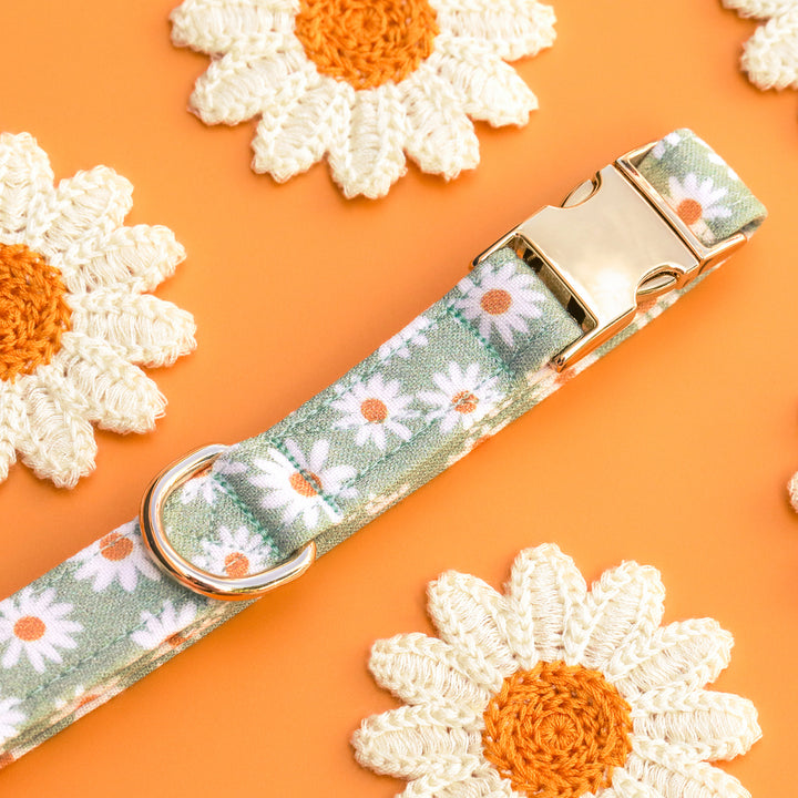 Oopsie Daisy - Sage Daisy Dog Collar